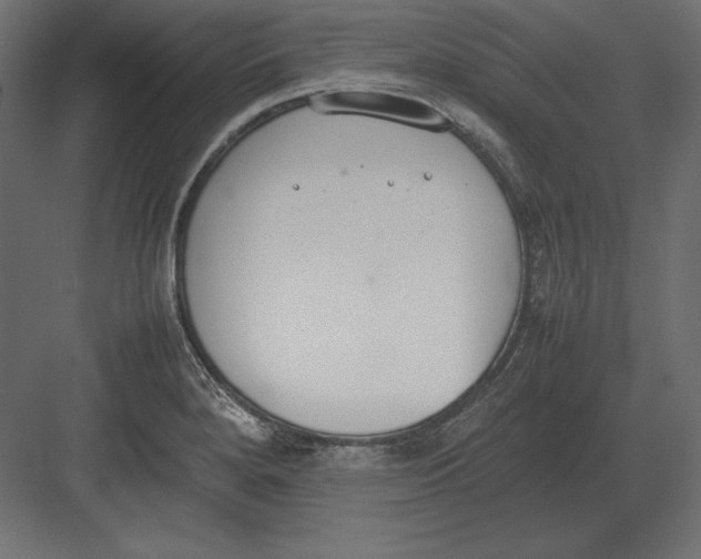 X0000082151280200702092141