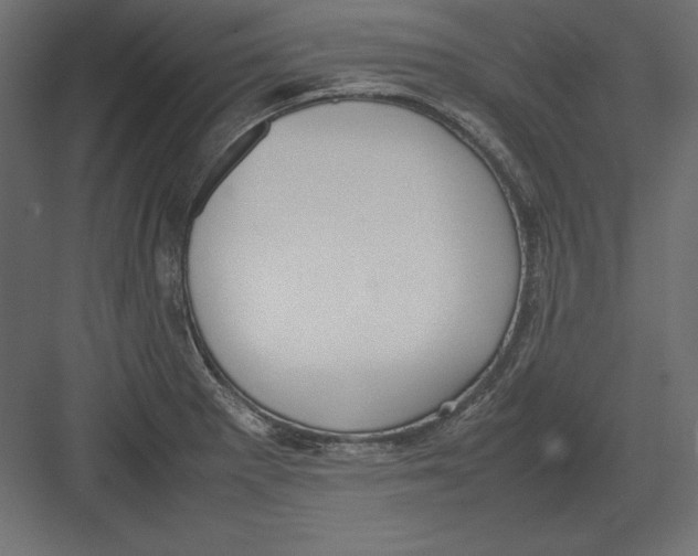 X0000082151281200702092141