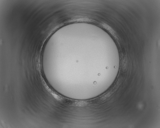 X0000082151282200702092141