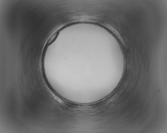 X0000082151285200702092141