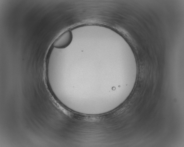 X0000082151286200702092141