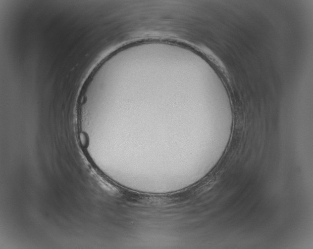 X0000082151287200702092141