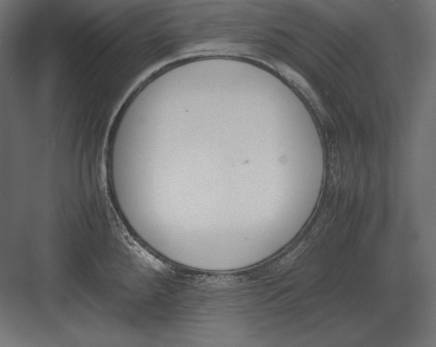 X0000082151288200702092141