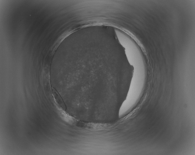 X0000082151289200702092141