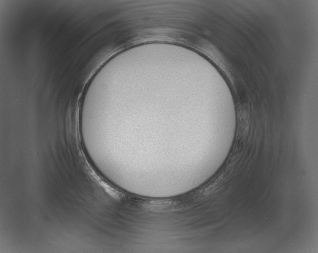 X0000082151290200702092141