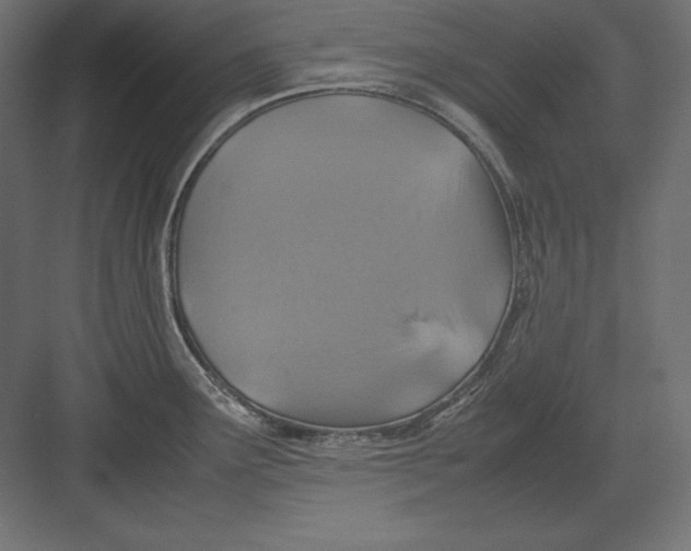 X0000082151291200702092141