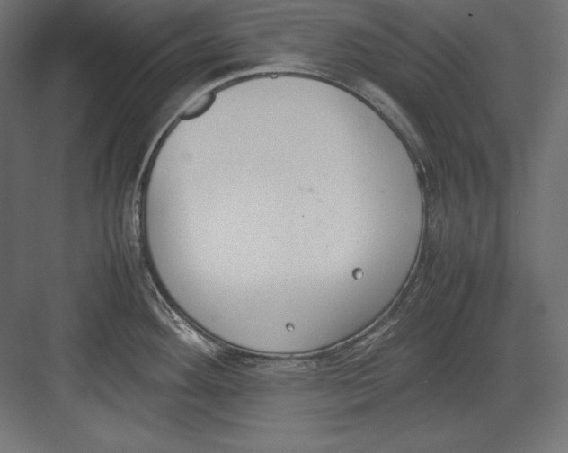 X0000082151292200702092141