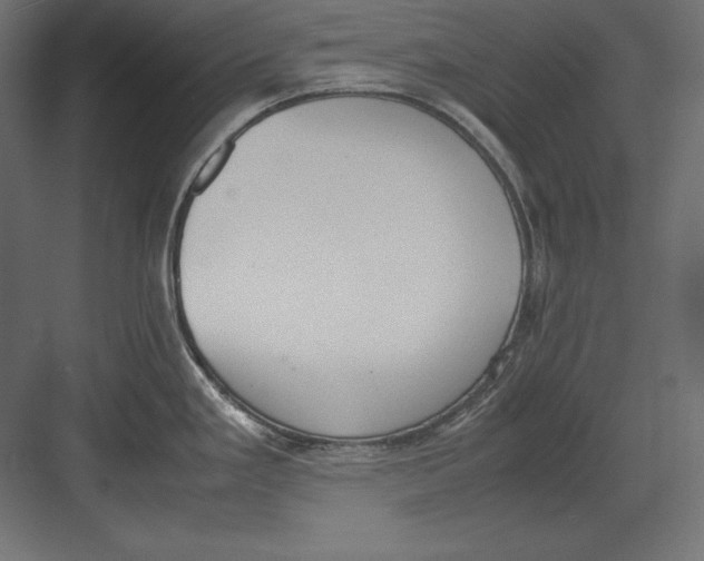 X0000082151293200702092141