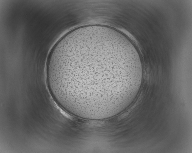 X0000082151294200702092141