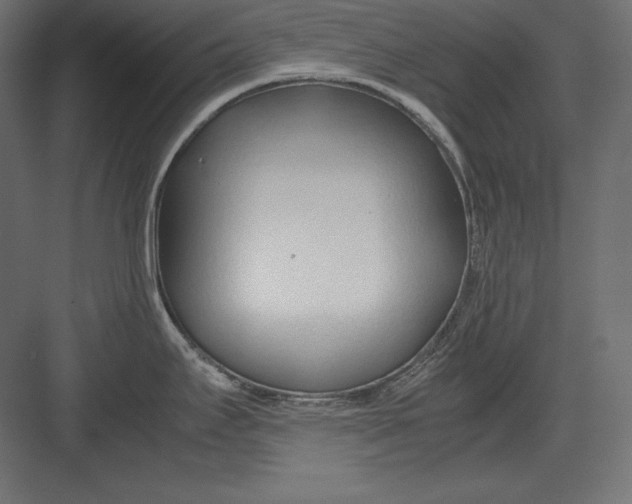 X0000082151295200702092141