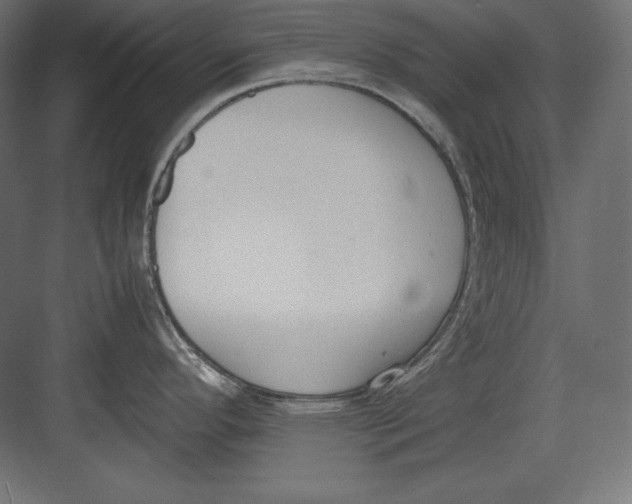 X0000082151296200702092141