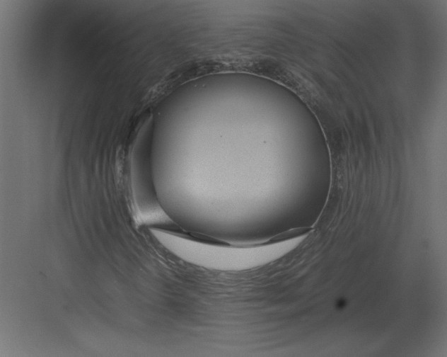 X0000082151298200702092140