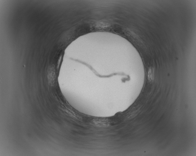 X0000082151299200702092140