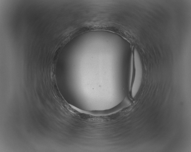 X0000082151300200702092140