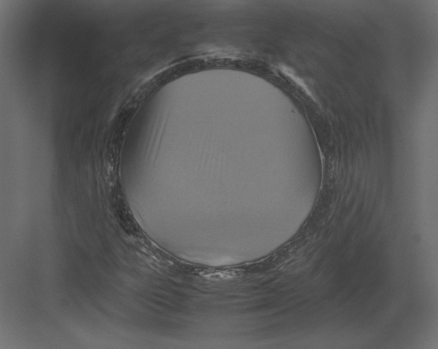 X0000082151303200702092140