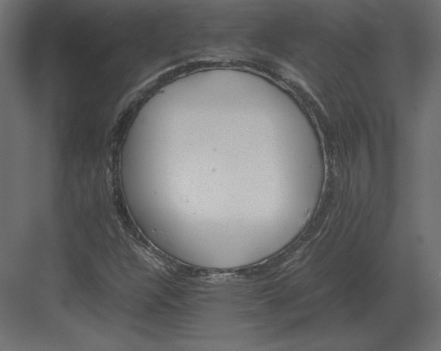 X0000082151304200702092140