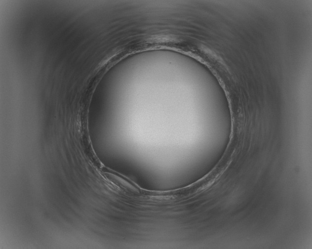 X0000082151305200702092141