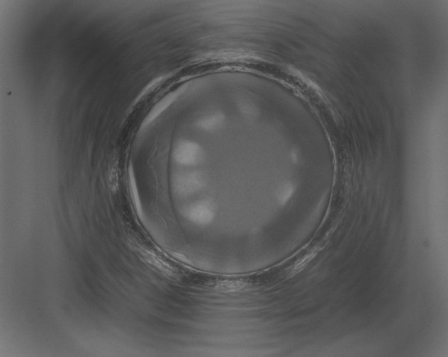 X0000082151306200702092141