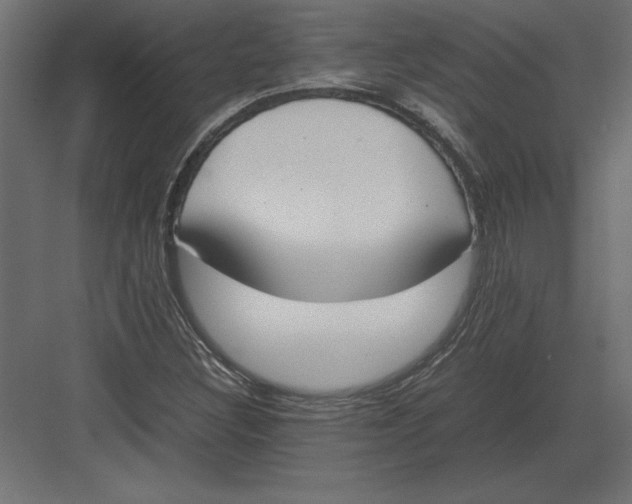 X0000082151308200702092141