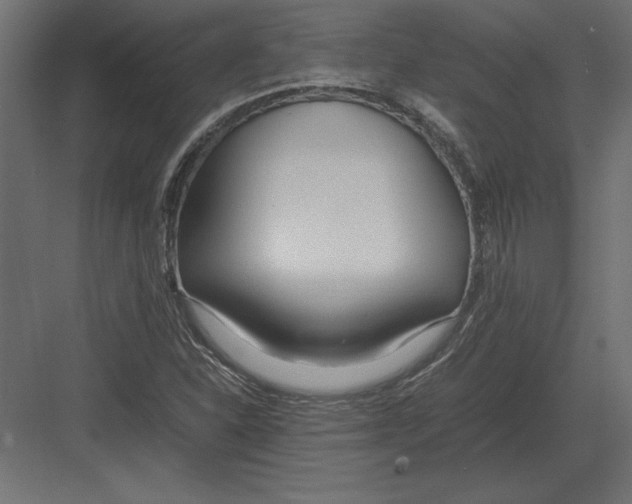 X0000082151310200702092141