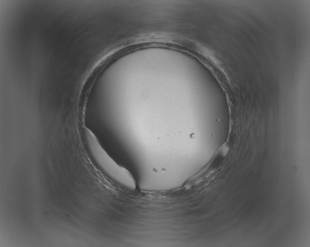 X0000082151312200702092141