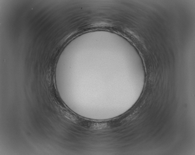 X0000082151313200702092141