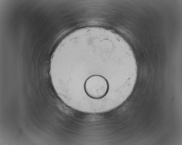 X0000082151314200702092141