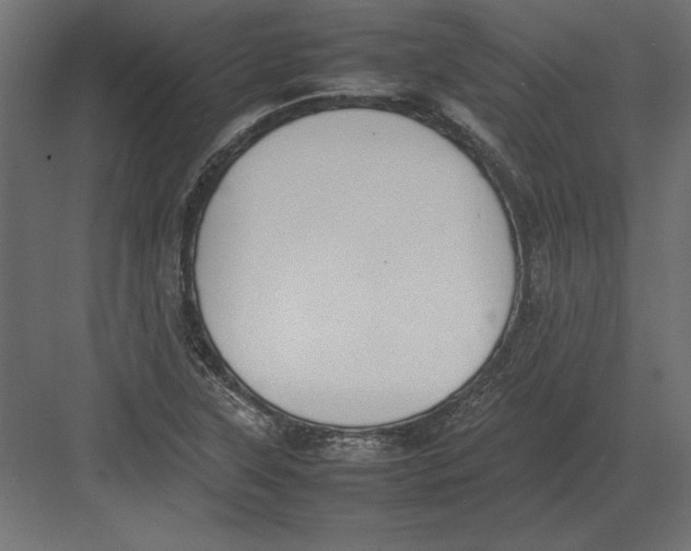 X0000082151315200702092141