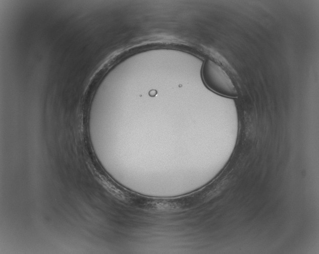 X0000082151318200702092141