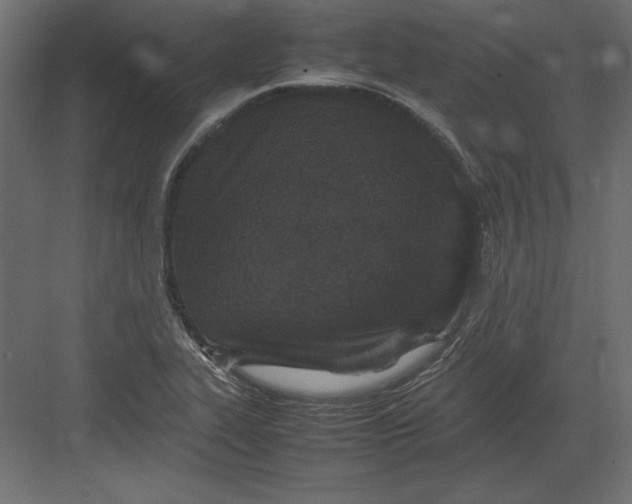 X0000082151319200702092141