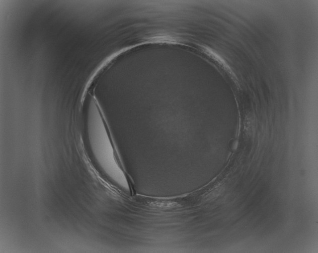 X0000082151323200702092141