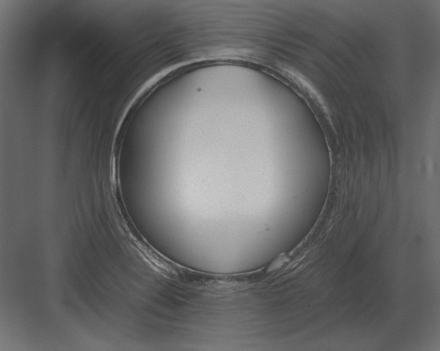 X0000082151324200702092141