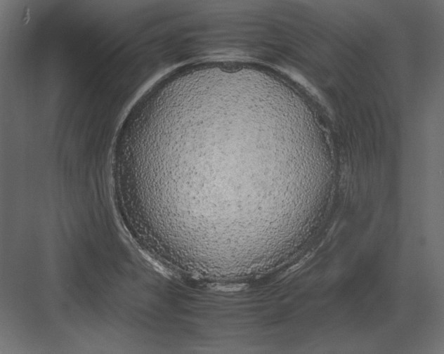 X0000082151325200702092141