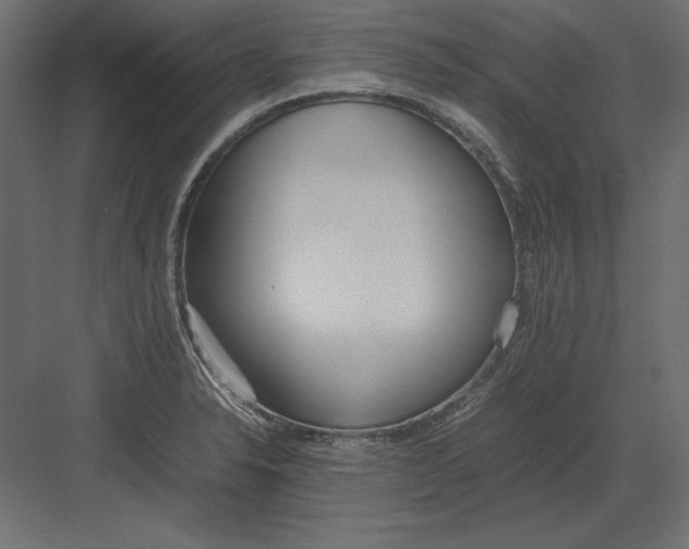 X0000082151326200702092141