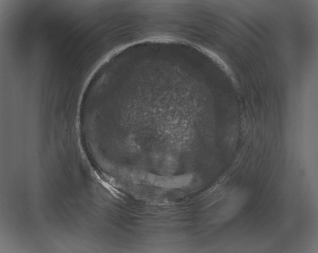 X0000082151327200702092141