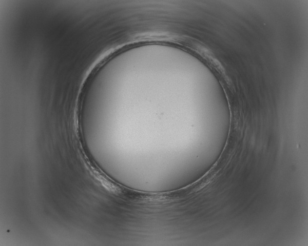 X0000082151328200702092141