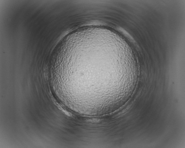 X0000082151329200702092141