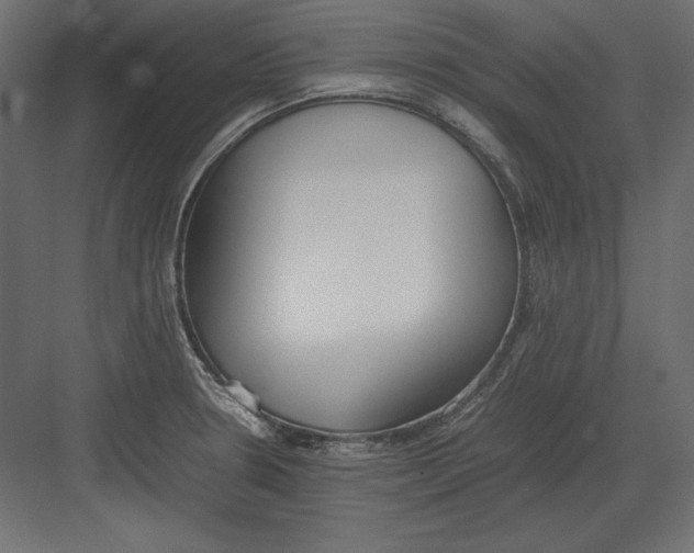 X0000082151330200702092141