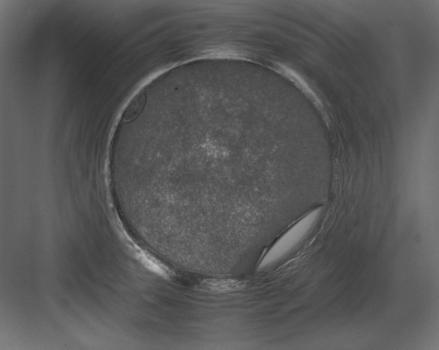 X0000082151331200702092141