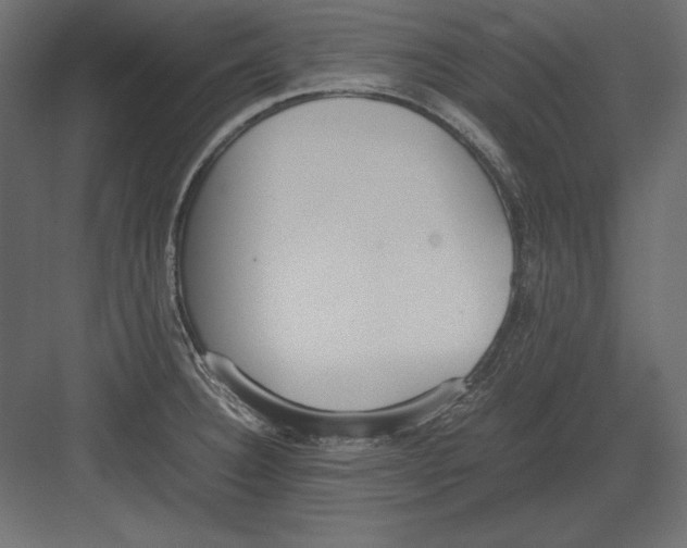 X0000082151332200702092141