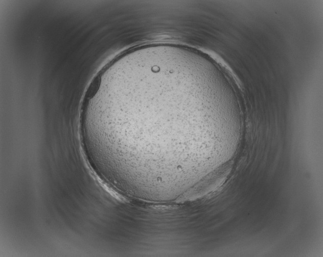 X0000082151333200702092141