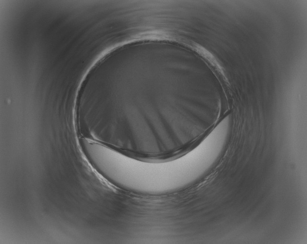 X0000082151334200702092141