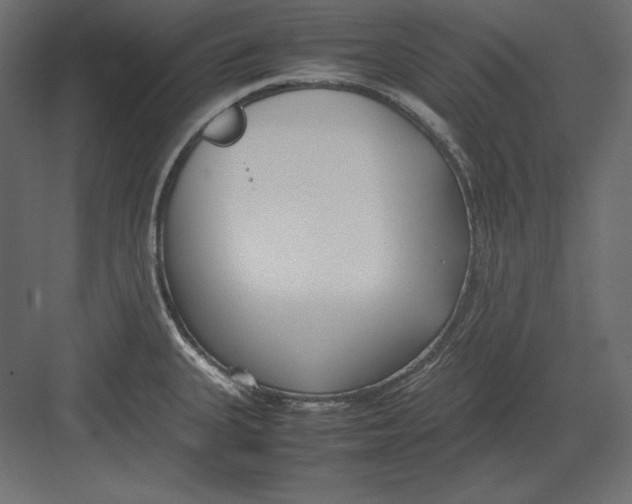 X0000082151335200702092141