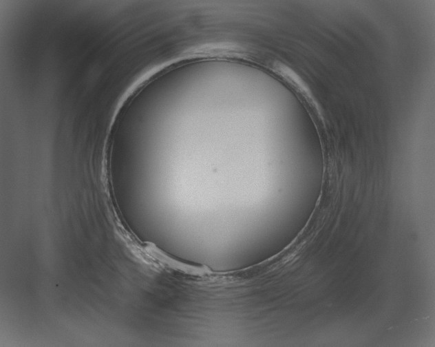 X0000082151336200702092141