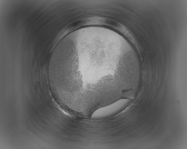 X0000082151337200702092141