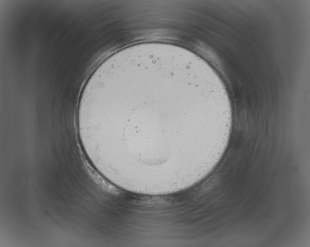 X0000082151338200702092141