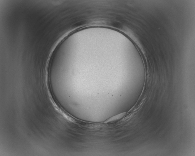 X0000082151341200702092141