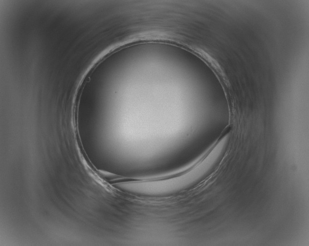 X0000082151342200702092141