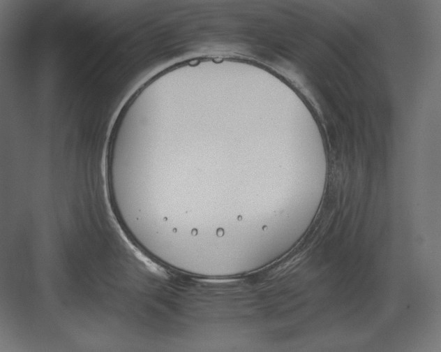 X0000082151343200702092141