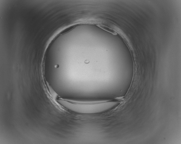 X0000082151344200702092141